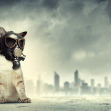 Lego Movie: The Game